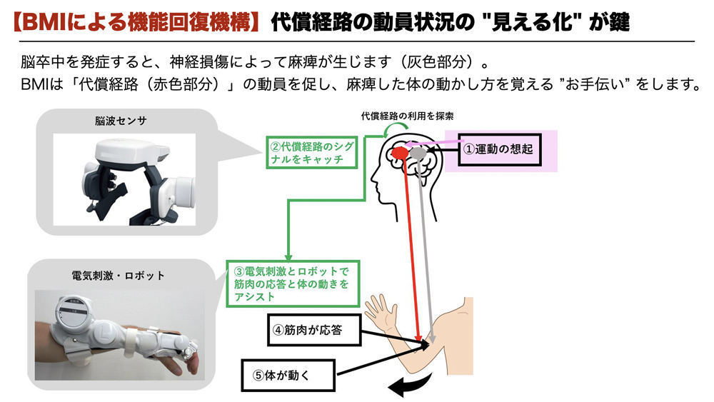 BMIによる機能回復機構