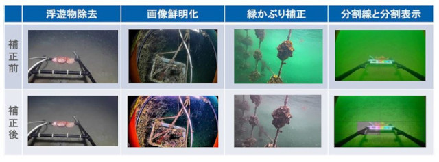 「IPSILOS」の海中画像鮮明化技術の画像処理サンプル(同社資料より)