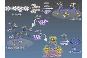 理科大など、金と炭素の動的共有結合性を利用した炭素ナノリング合成法を確立