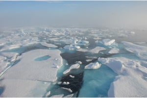 ウェザーニューズなど、衛星データとAIによる船舶用海氷情報の共同実証を開始