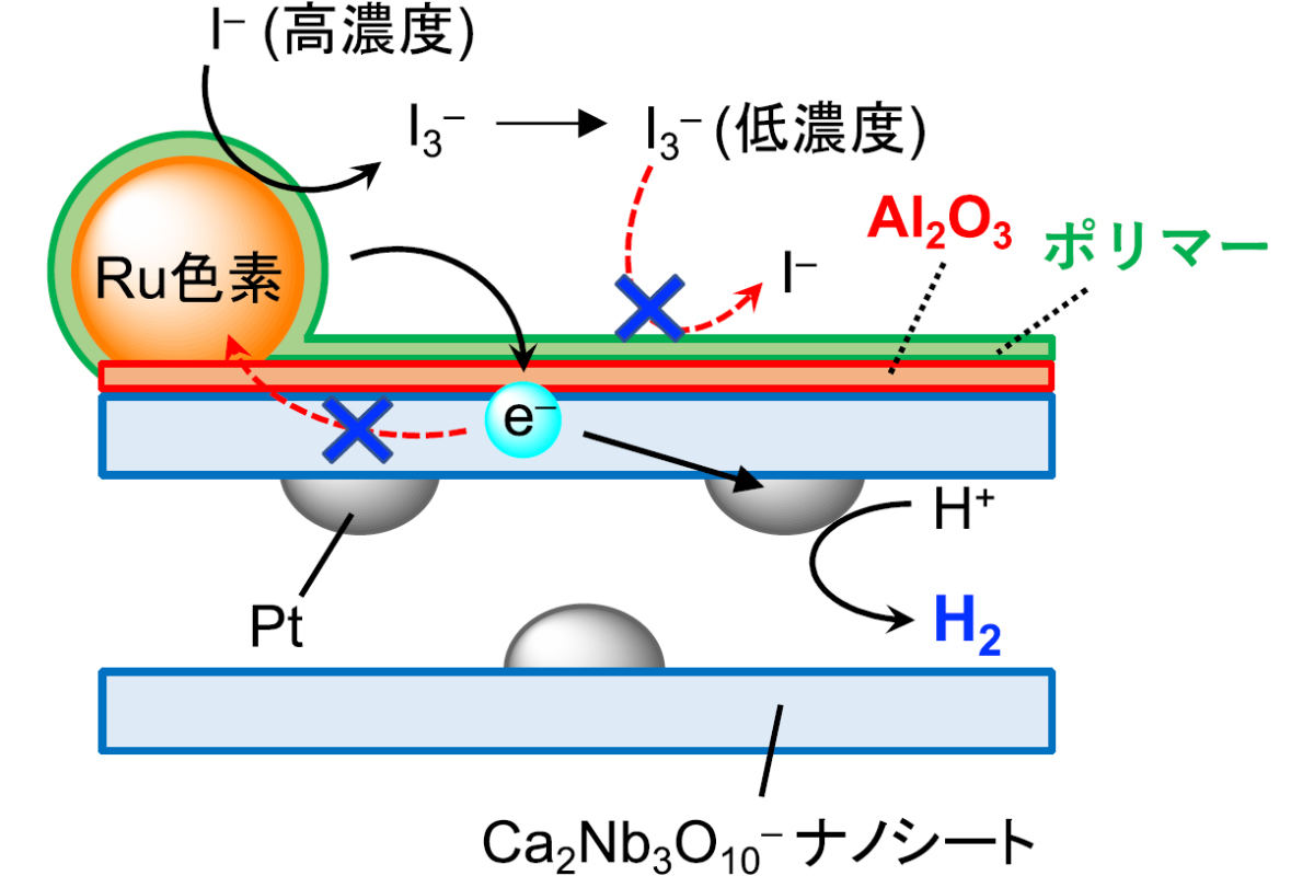 色素増感水素生成反応のメカニズム