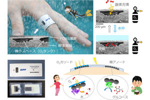 東北大、水中でも駆動可能な糖と酸素ガスによるバイオ発電パッチを開発