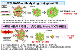 名大など、光でがんを破壊すると同時に抗がん薬を周囲に放出する技術を開発