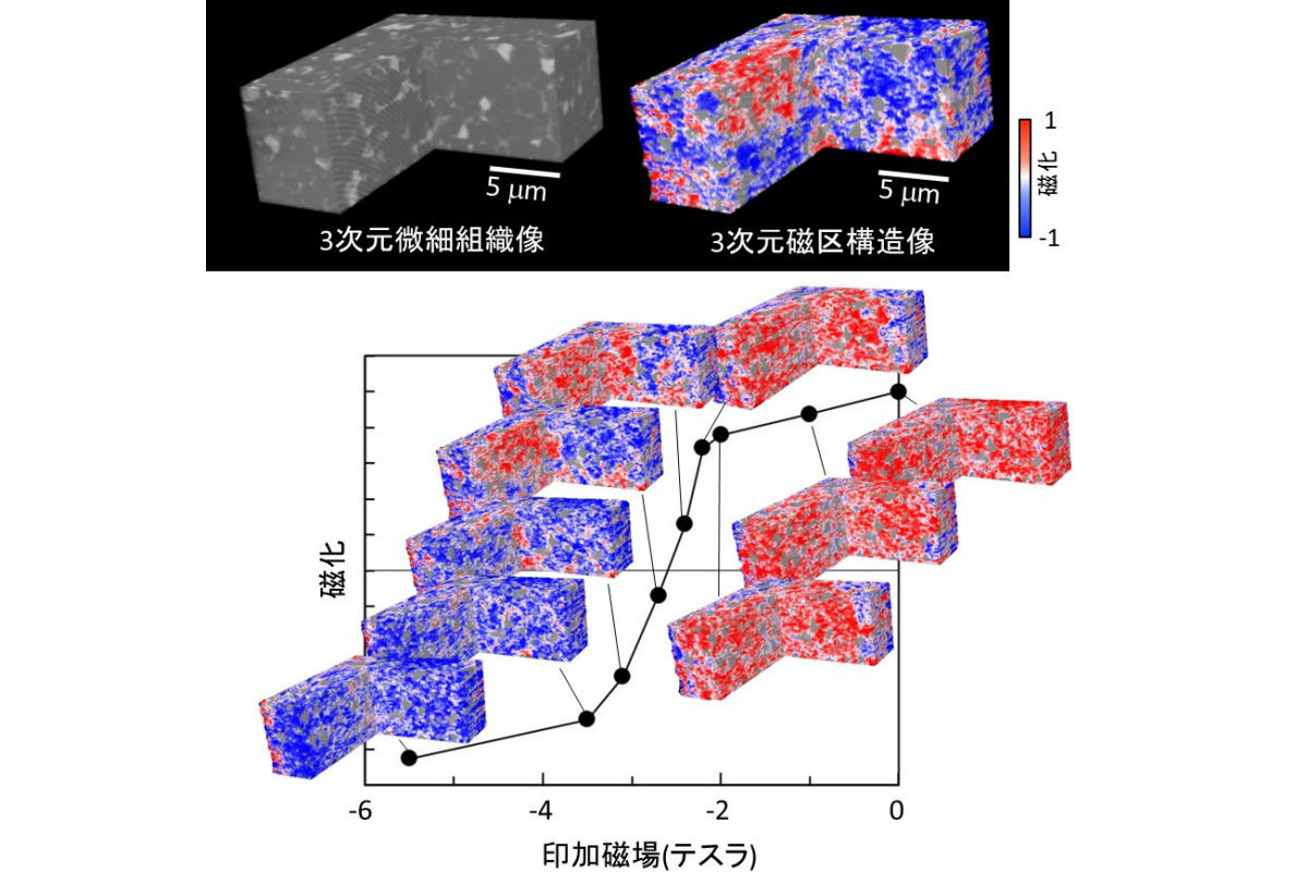 先端永久磁石材料を用いた3次元磁区構造の観察結果