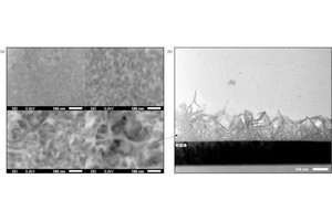 産総研、緊張で皮膚から発生するストレスガスを識別可能なセンサを開発