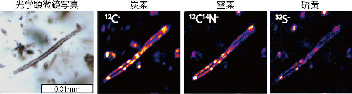 2次イオン質量分析計による微化石微小領域分析の例