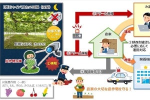 NTT東日本、ICTを活用した農作物盗難対策ソシューションの実証実験