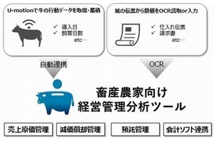 NTTデータ×デザミス、牛の個体データで畜産農家の経営判断を支援するツール