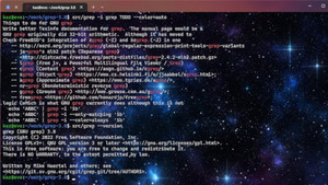 約1年ぶりのバージョンアップとなる「GNU Grep」 バージョン3.8がリリース