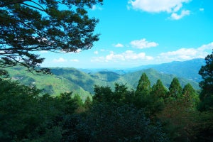 ソフトバンク、徳島県神山町で開校予定の私立高専に10億円を支援