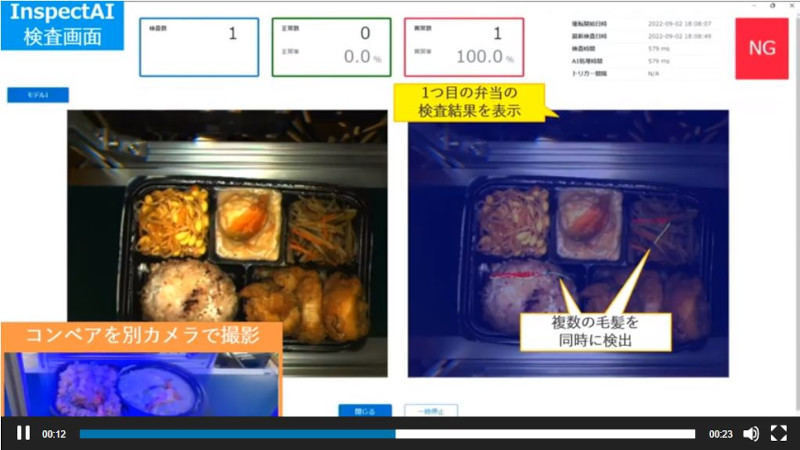 「InspectAI」での毛髪検出事例(同社動画資料より)