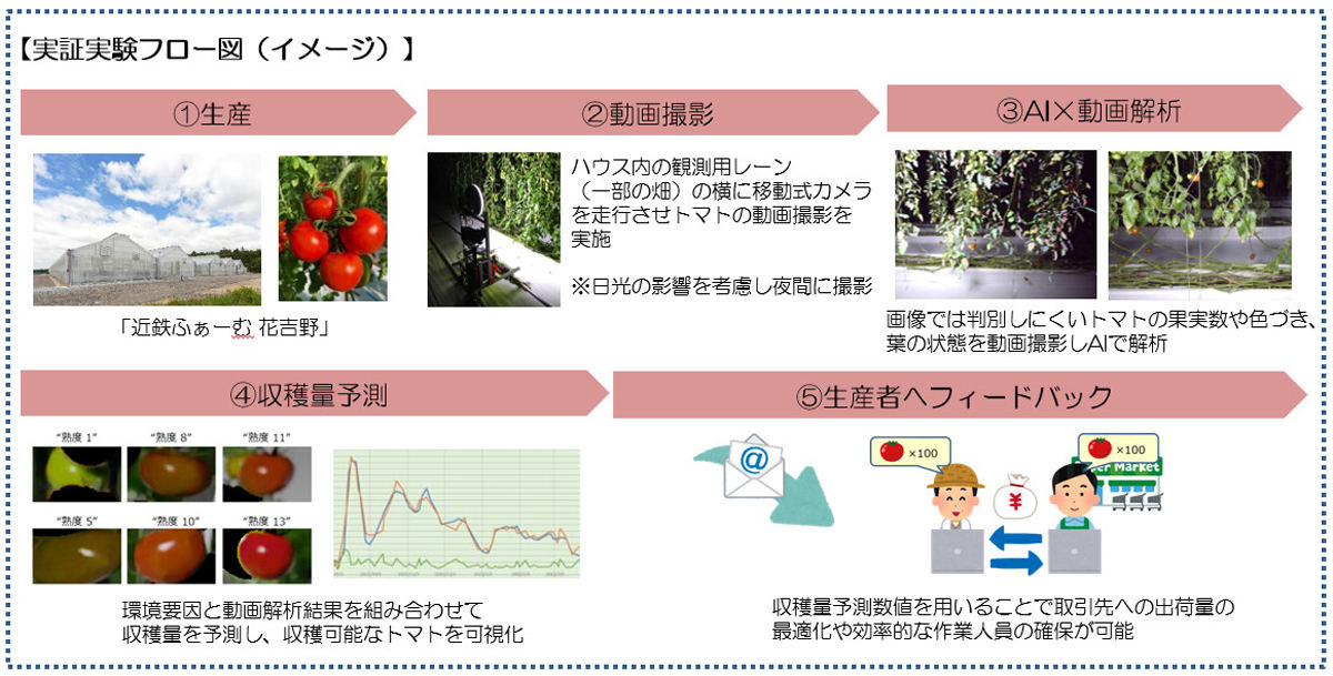 実証実験の概要図