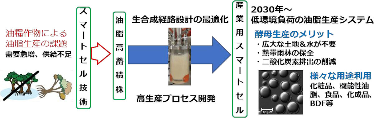 研究開発の概要