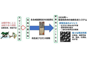 NEDOなど、油脂酵母による代替油脂生産で世界トップレベルの生産量を達成