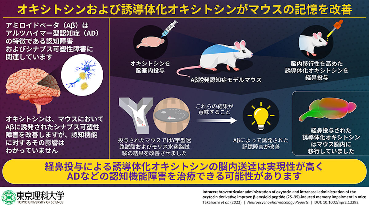 今回の研究の概要