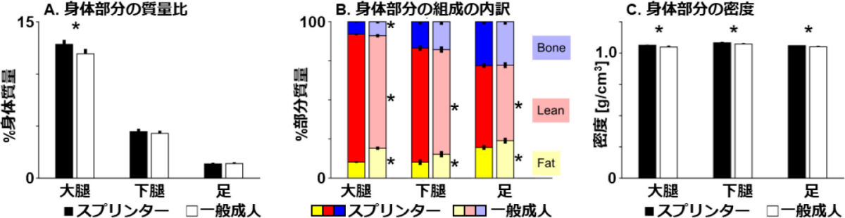 スプリンターと一般成人の身体部分大腿・下腿・足部の質量比