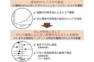 阪大など、遺伝的ながんリスク体質だと若くしてがんを発症する傾向を確認