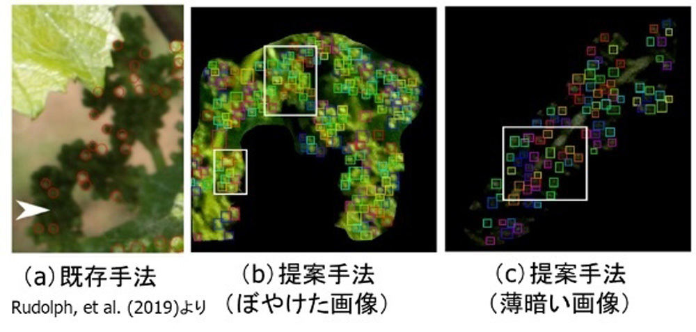 高精度な花の検出結果と従来手法による検出結果の比較