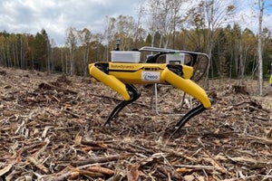 【スマート林業】林業現場で四足歩行運搬ロボットの可能性を探る実証実験