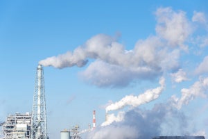 SMBCとMS&AD、自然資本分野で連携‐脱炭素を加速