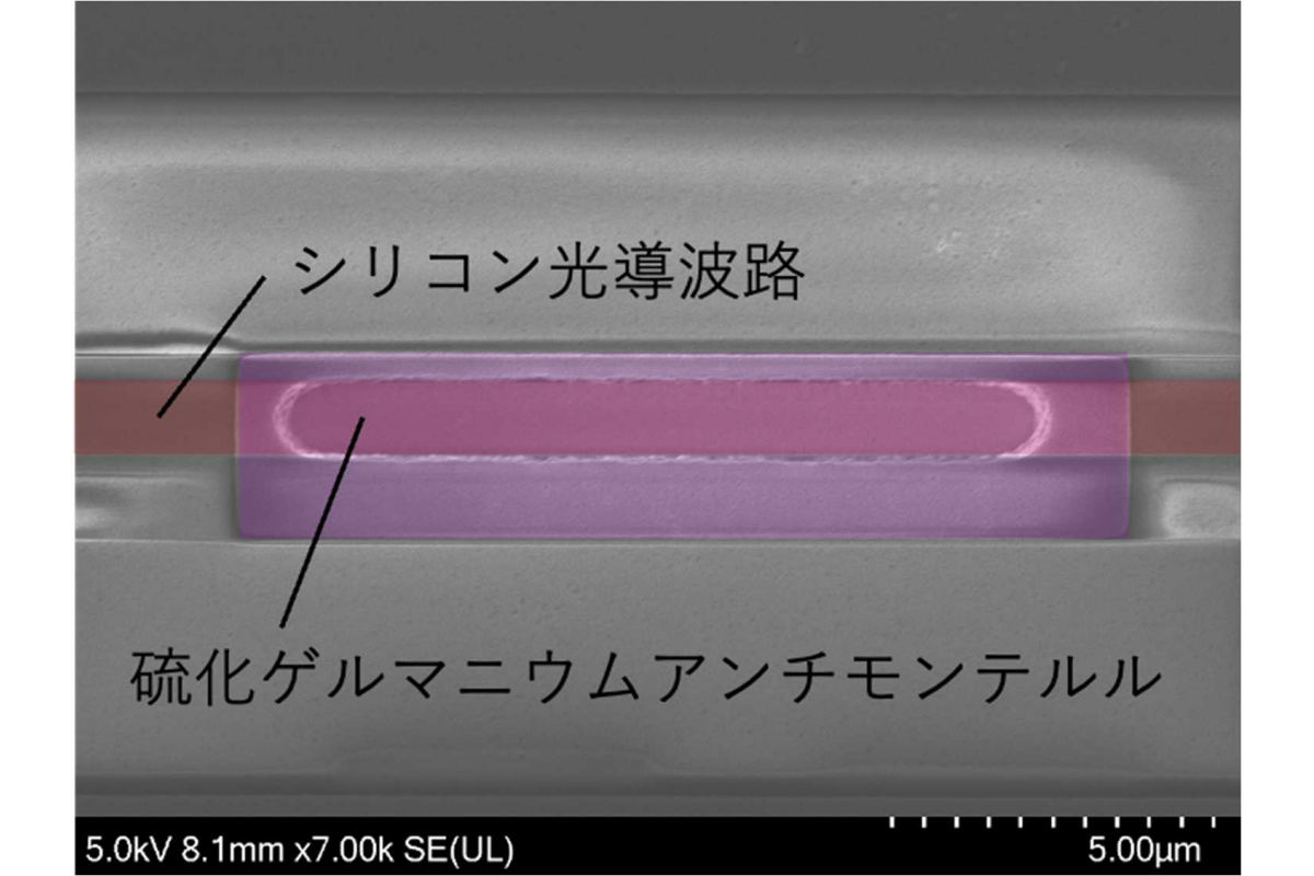 試作されたGSTSを用いた光位相器の電子顕微鏡写真