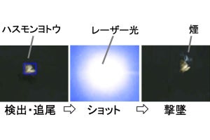阪大、青色レーザーを使って農作物を荒らす蛾を撃墜する技術を開発
