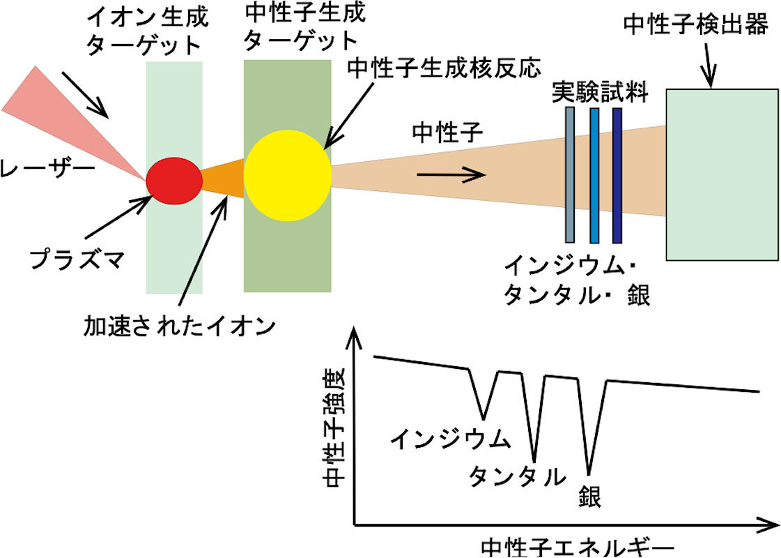実験方法の概念図