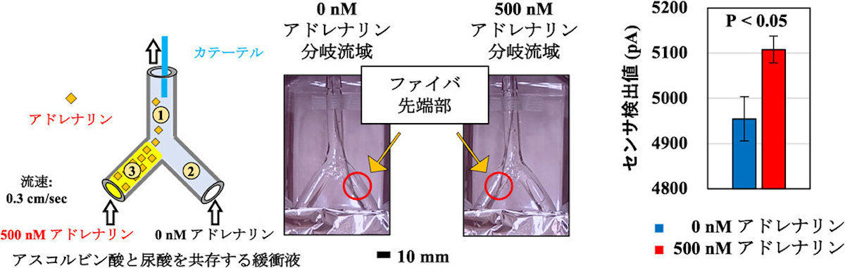 能動多機能ファイバから作られた多機能性カテーテルおよびアクチュエータ作動機能の評価