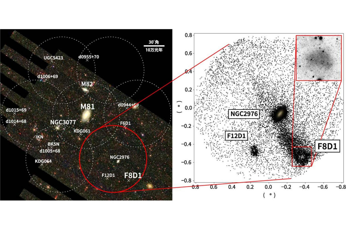 (左)すばる望遠鏡HSCによるM81銀河群の観測領域(点線と赤線で囲まれた範囲、背景はスローン・デジタル・スカイ・サーベイの観測画像)。(右)赤線で囲まれた超淡銀河「F8D1」を含む領域における赤色巨星の分布。右上挿図は、F8D1本体のHSCによる観測画像