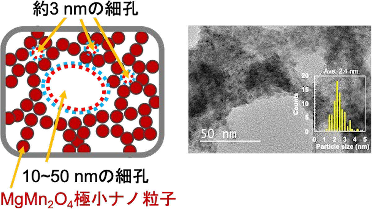 (左)超多孔質MgMn<sub>2</sub>O<sub>4</sub>極小ナノ粒子の模式図。(右)同電子顕微鏡像