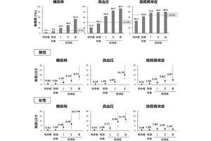 肥満に伴って生じる疾患リスクに男女差、減量だけでは不十分な場合も　神戸大が確認