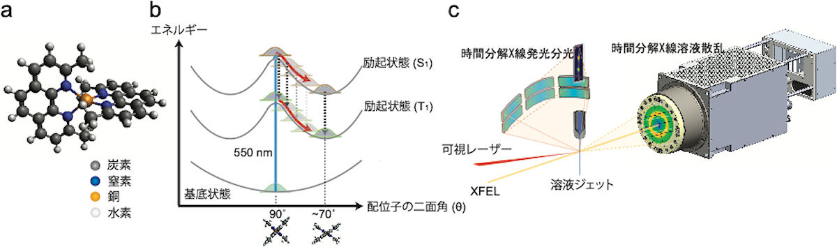銅(I)フェナントロリン錯体の構造