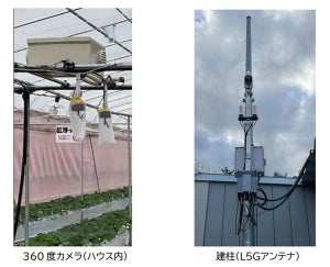 NTT東日本、秋田県でローカル5Gを活用し農作物の生産効率向上に向けた実証