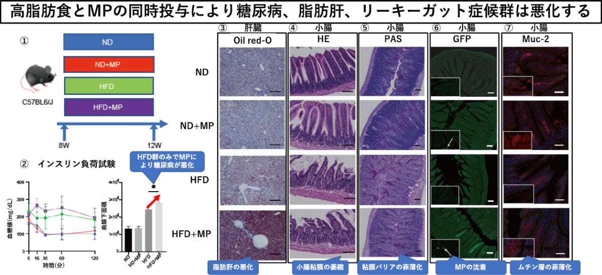 今回の研究内容の概要