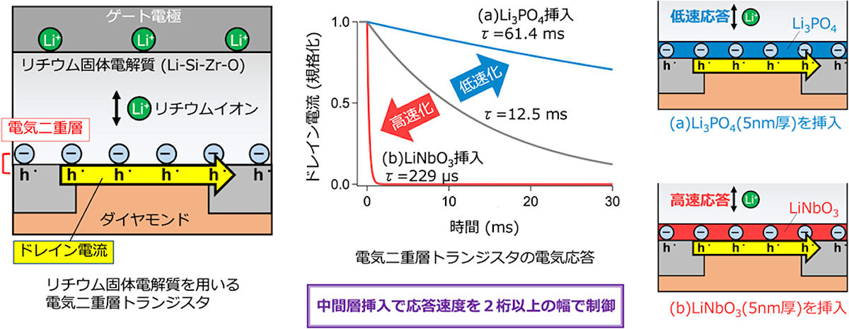 今回の研究の概要