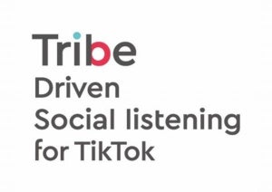 電通デジタル、一般投稿も含めたTikTok投稿の分析を行うサービス提供