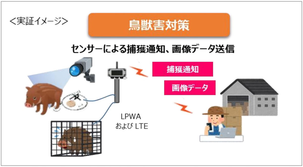 鳥獣害対策の概要