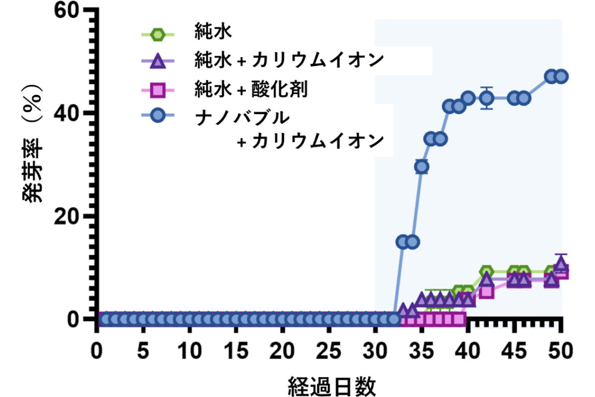 各種溶液と発芽率の関係。K+イオン含有ナノバブル水では、他条件に比べて格段に高いワサビの発芽率が確認された。65日目の段階でのK+イオン含有ナノバブル水による発芽率は70%以上。これに対してナノバブル非含有K+イオン水では20%程度だった