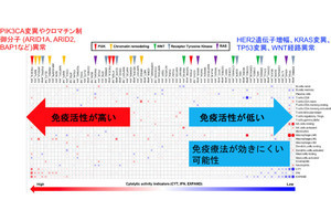 国がんなど、大規模症例のゲノム解析により胃がんの治療標的を新たに発見