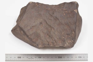 1902年に落下した約4kgの隕石の名称は「越谷隕石」！　科博などが発表