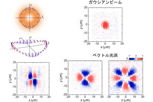 ベクトル光渦の偏光空間構造を半導体中のスピンに印刷　理科大などが成功