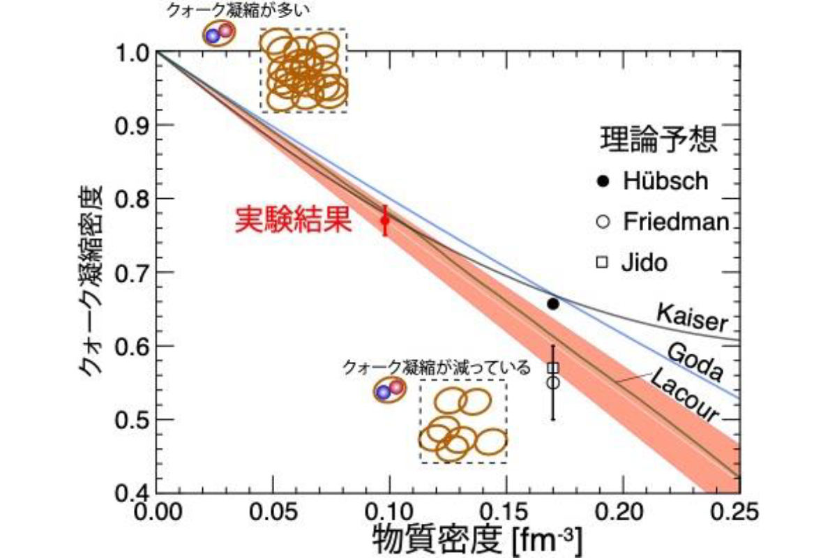 今回の測定で得られた原子核中のクォーク凝縮の密度と各理論計算の比較。実験では、原子核表面の物質密度が約0.1[fm]の場所で、クォーク凝縮の密度が測定された。赤丸で示されているように、この場所ではクォーク凝縮密度が真空中での値に対して約77%まで減少していることが判明。原子核の中心密度は0.17[-3]になる