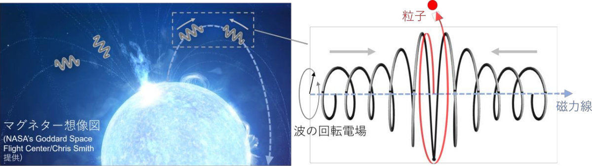 (左)マグネターの磁力線に沿って対向伝搬する波が衝突し、高効率に粒子を加速する様子。(右)その拡大図