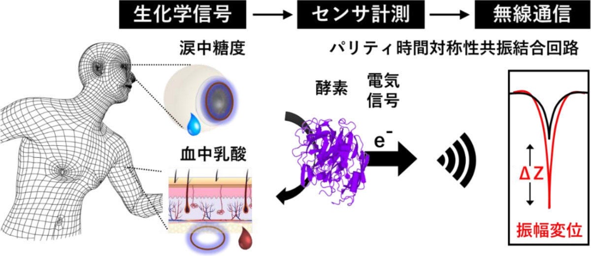 微弱な生体信号を無線で測る新しい原理の共振結合回路システム