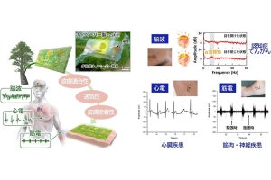 阪大、CNF製ナノペーパーを基材とした無線通信が可能な電子皮膚を開発