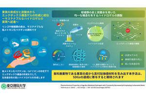 果物の皮と炭酸水でハイドロゲルの調製が簡便に！　理科大が発表