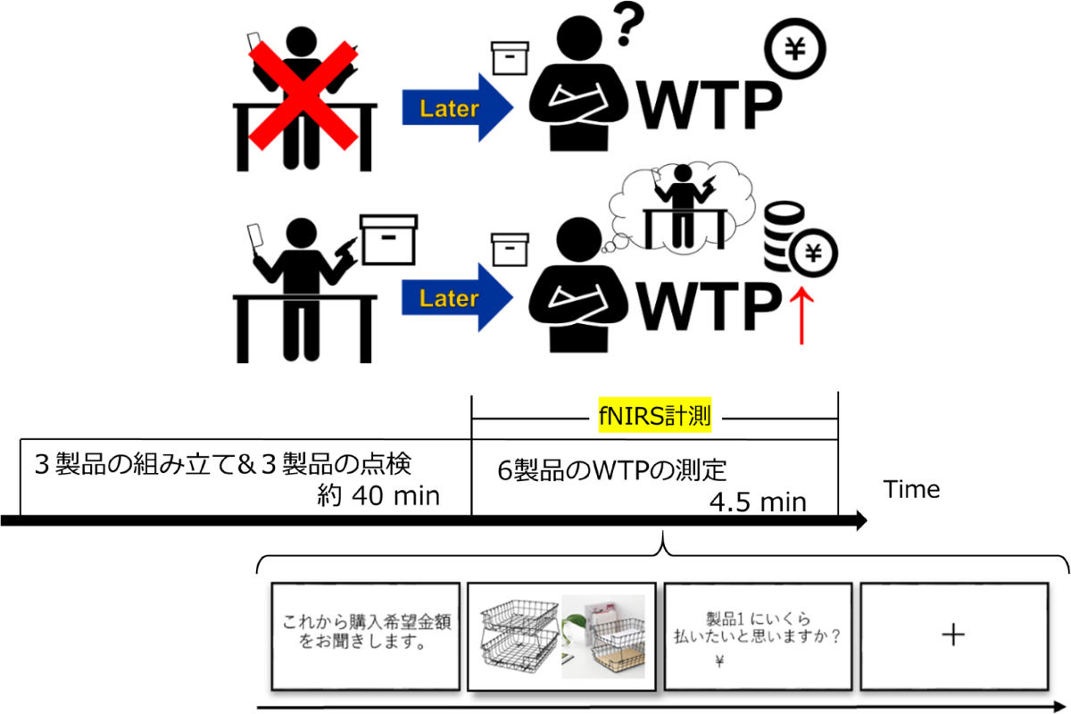 研究概要図。(上)「IKEA効果」とは、消費者自身の手でDIY製品を組み立てることによって、WTPを高く評価する認知バイアスのことを指す。(下)IKEA効果のメカニズムを探るために、製品の作成(組み立てと点検)と触覚提示が行われ、最後に製品のWTP計測がfNIRS計測と同時に実施された