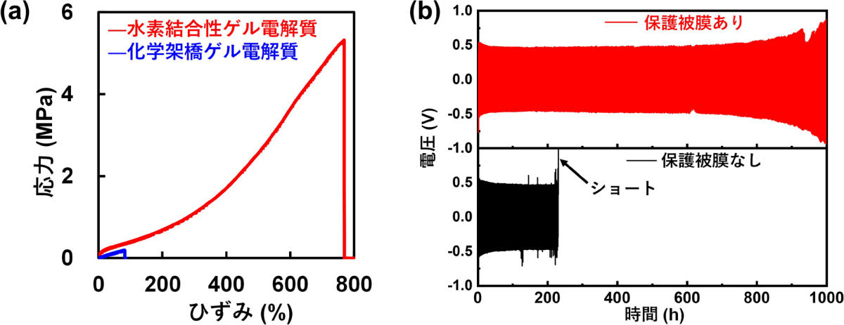 開発した水素結合性ゲル電解質と従来の化学架橋ゲル電解質の引張試験