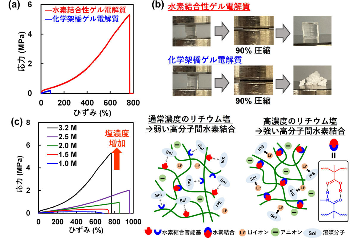 開発した水素結合性ゲル電解質と通常の化学架橋ゲル電解質の引張試験(a)および圧縮試験(b)の結果