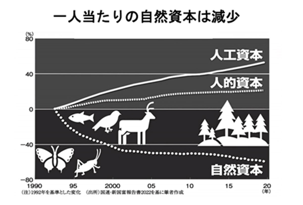 IWIを構成する各資本の増減変化のグラフ